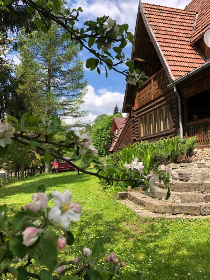 Sadyba Vanda Oryavchyk Exterior foto
